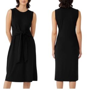 NWOT Eileen Fisher tie-front dress, 2X
